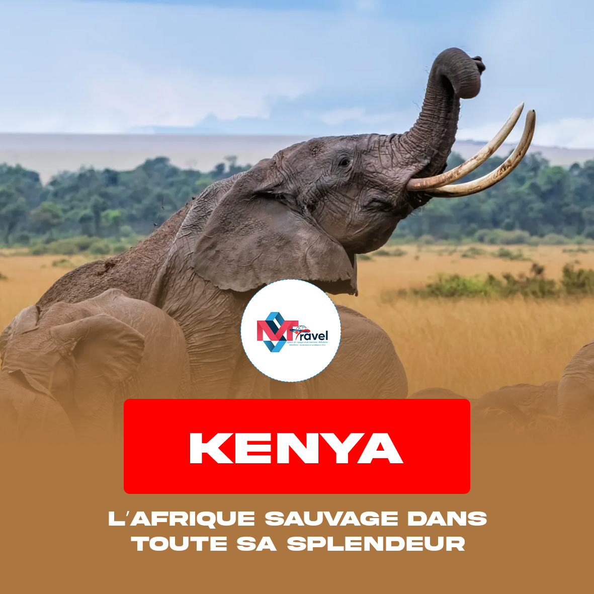 Kenya ðÂÂ°ðÂÂª